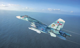 Su-33 Sea Flanker D