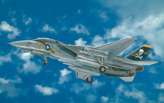 F-14A TOMCAT - 2667