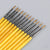 JP Sable Brush 2 (12 pcs) 5531145 1