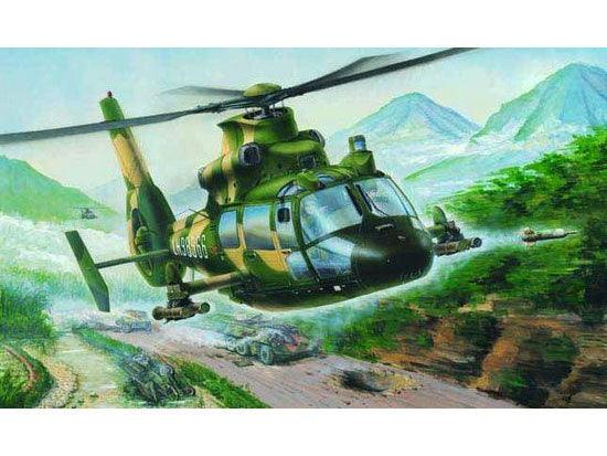 Trumpeter 1:48 - Z-9G Armed Helicopter