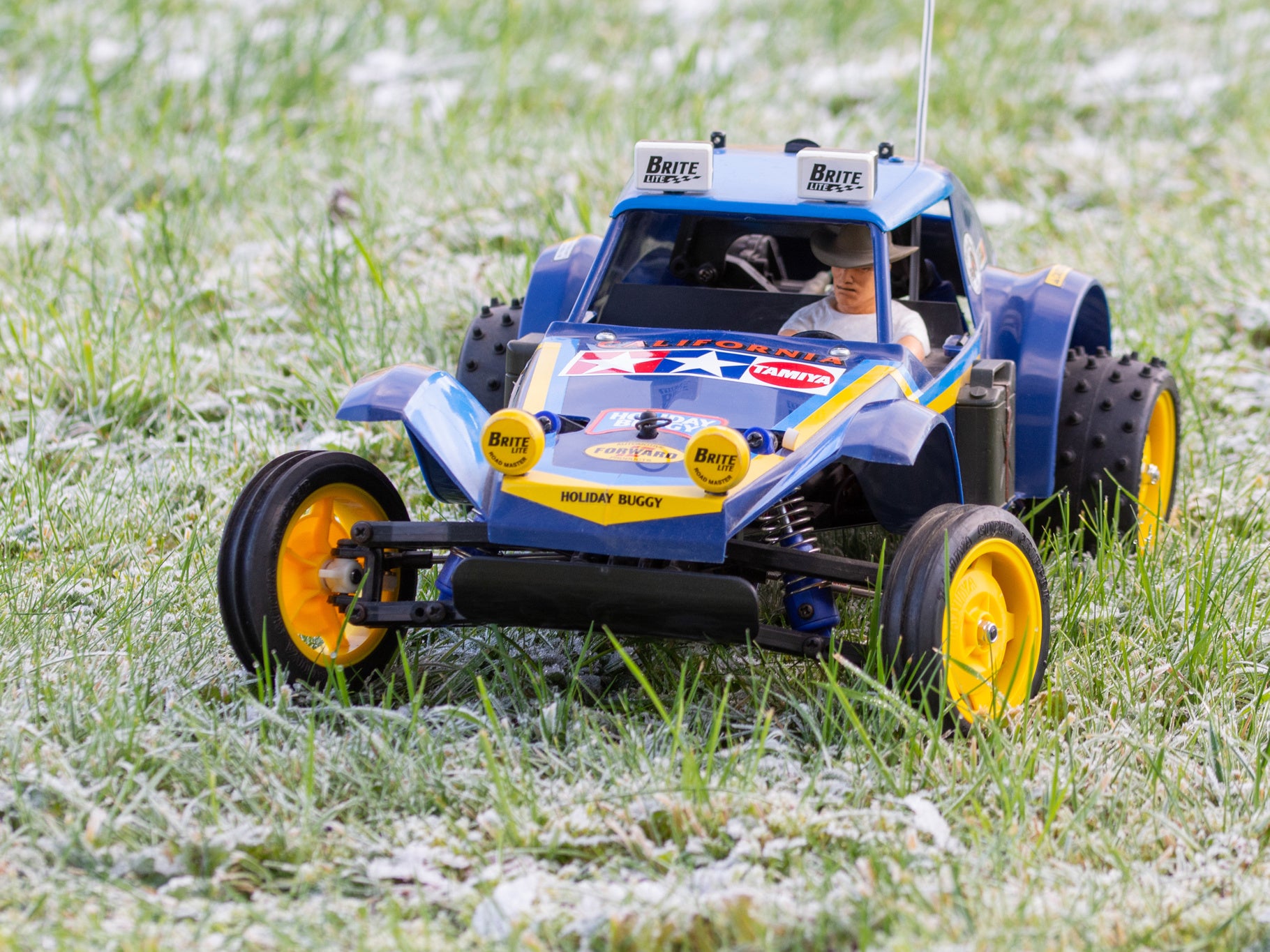 Tamiya Holiday Buggy 2010 (DT-02) 58470 [58470] | Access Models