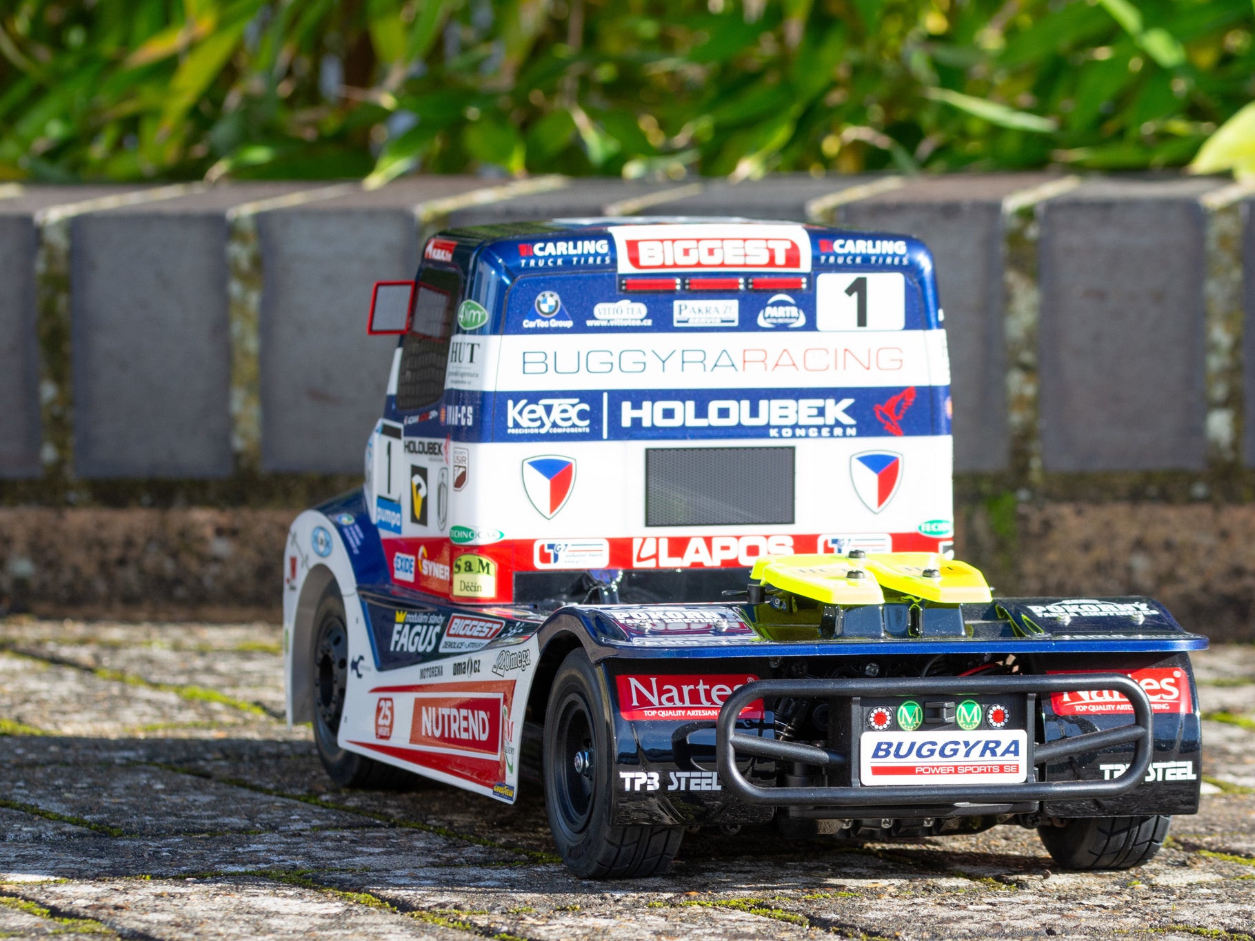 Tamiya RC Buggyra Racing Fat Fox 58661