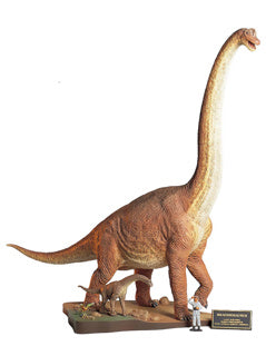 BRACHIOSAURUS DIORAMA SET