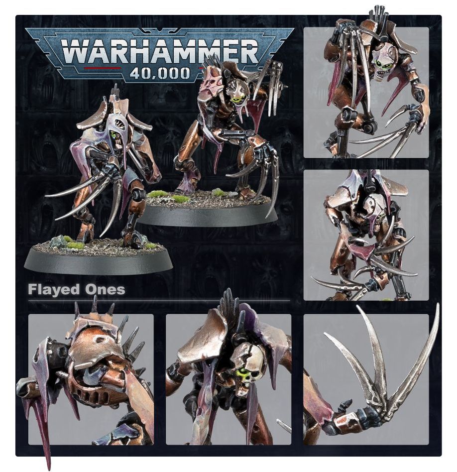 Necrons: Flayed One 49-42 - Warhammer 40K