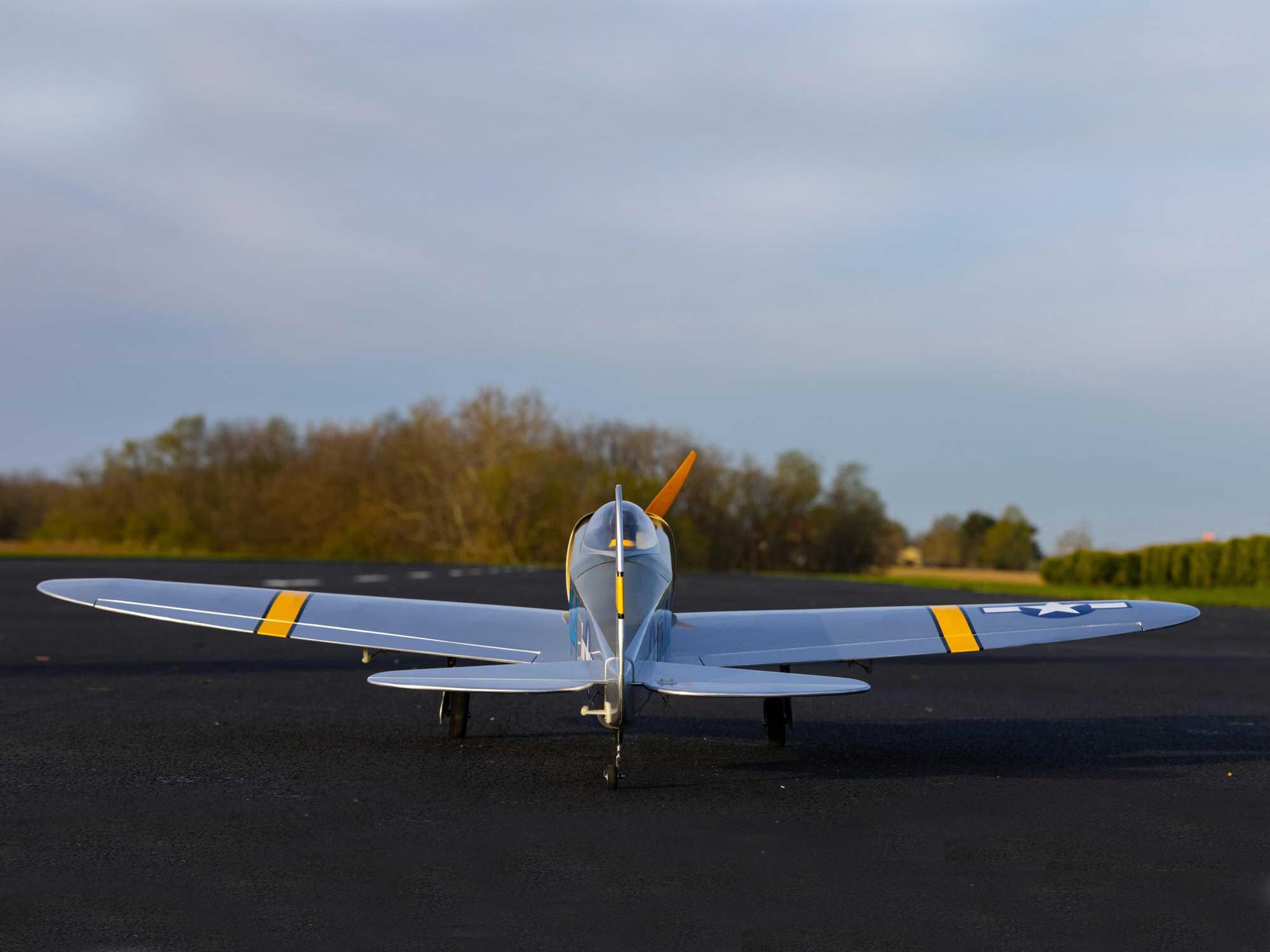 P-47 Thunderbolt PNP, 58.4"