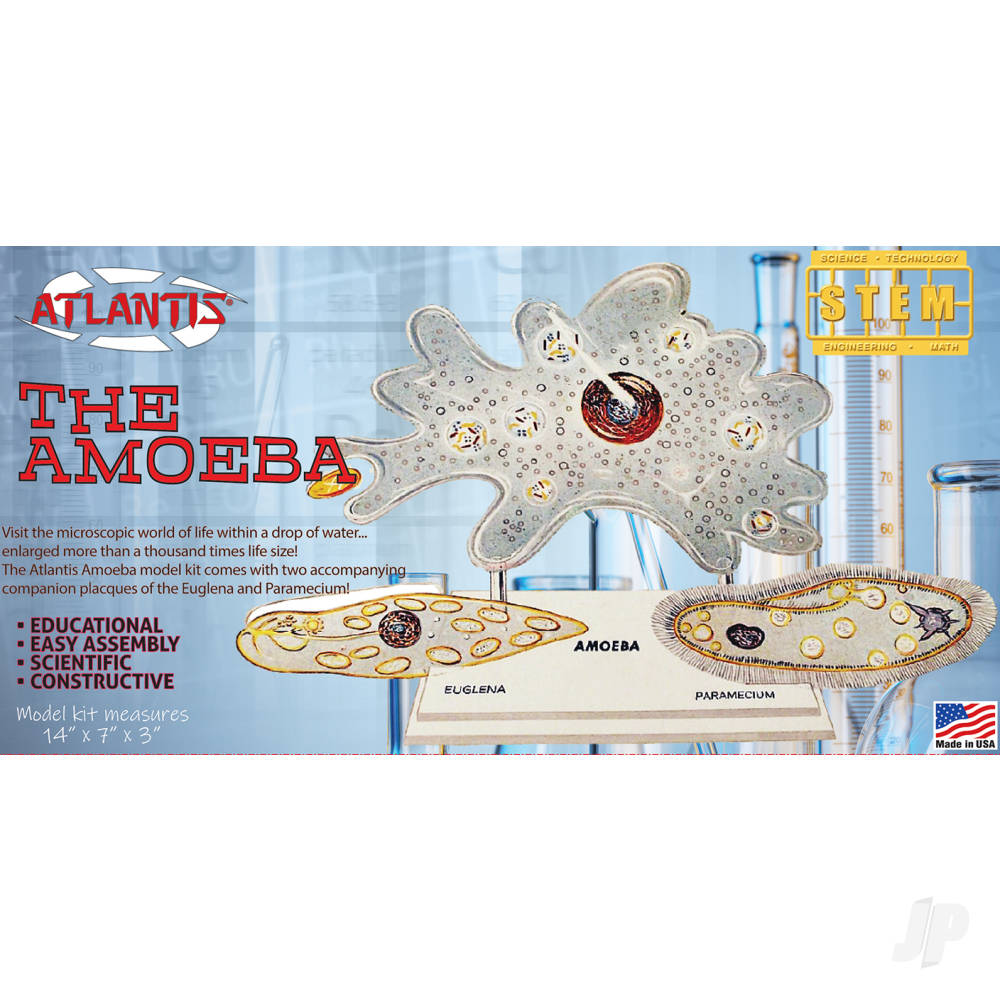 Atlantis Models Amoeba Single Cell Model Kit STEM AMCL3800