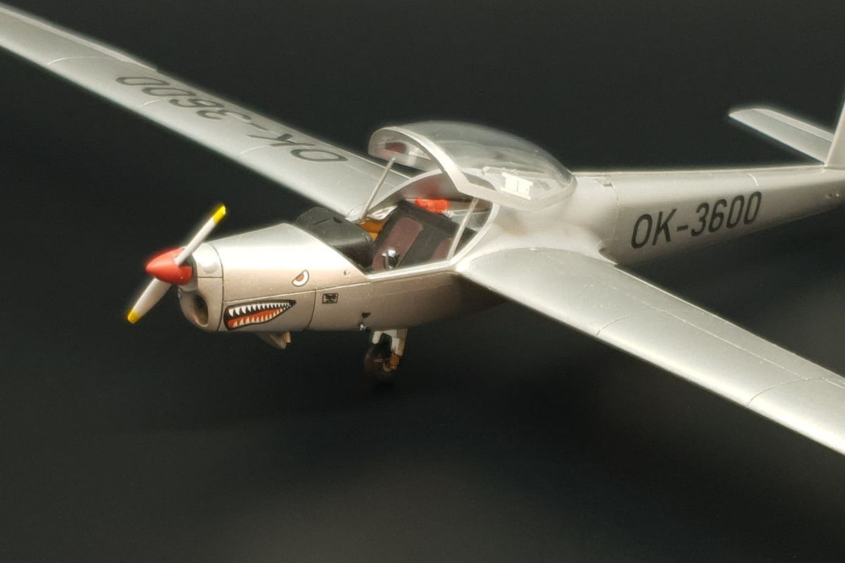 L-13SE VIVAT AKVY TMG plane