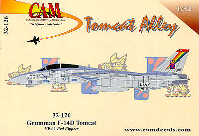 Grumman F-14D Tomcat 163904 NK/100 VF-11 Red Rippers CAG USS Carl Vinson 1996