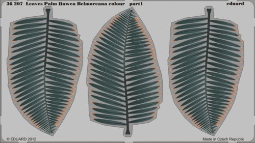 Leaves Palm Howea Belmoreana colour (fauna)(flora)(Eduard sold out May 4 2022)