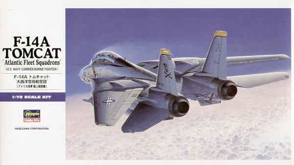 Grumman F-14A Tomcat with Atlantic Fleet Squadron decals
