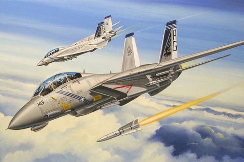 Grumman F-14B Tomcat