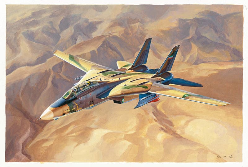 Grumman F-14A Tomcat Tomcat IRIAF (Iranian AF)