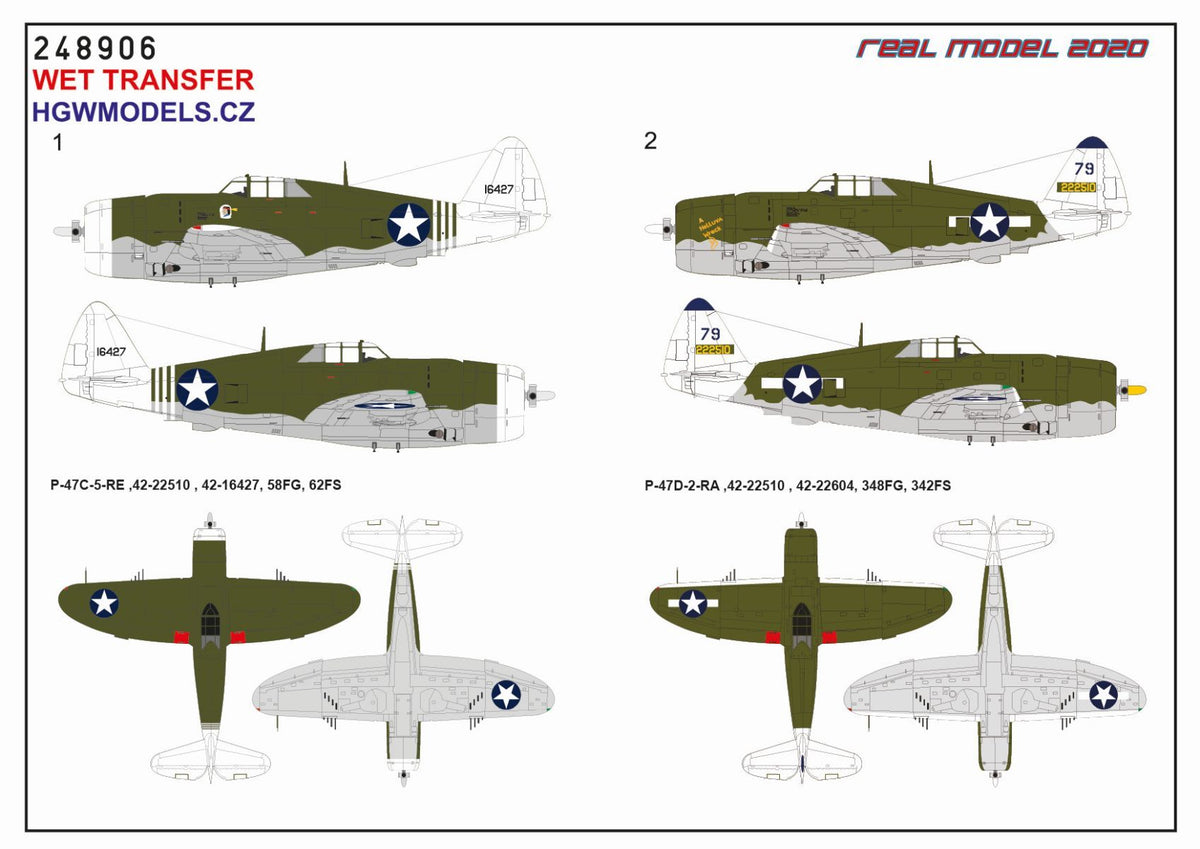 Republic P-47D Thunderbolt Razorback OVER NEW GUINEA		Markings