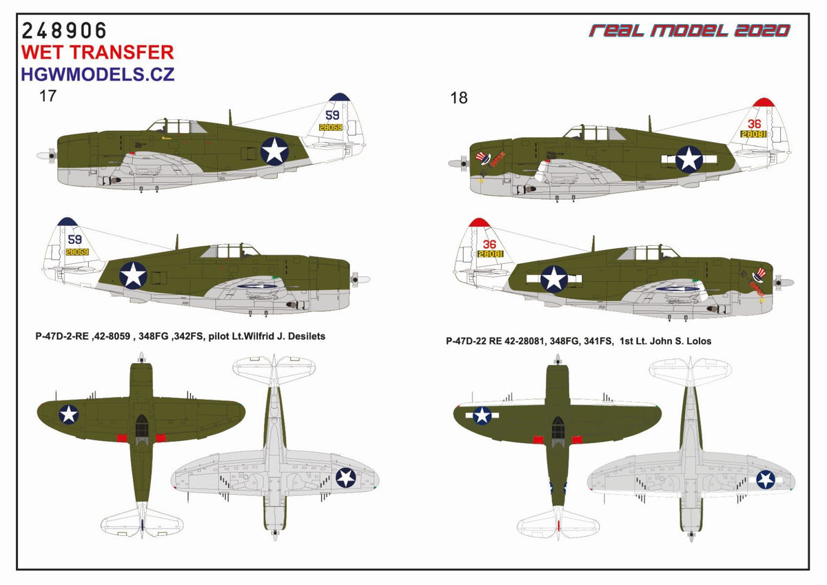 Republic P-47D Thunderbolt Razorback OVER NEW GUINEA		Markings