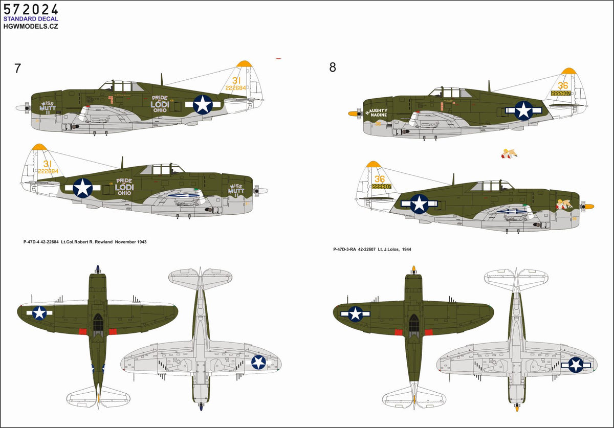 Republic P-47D Thunderbolt RAZORBACK OVER NEW GUINEA pt.1		STANDARD DECALS