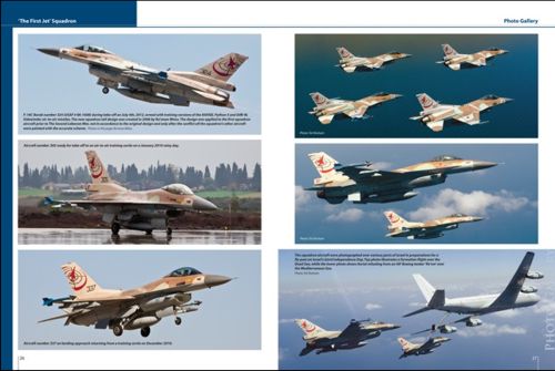 IAF Lockheed-Martin F-16C/F-16D Barak in IAF service