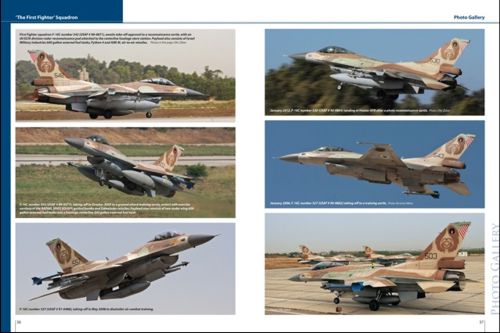 IAF Lockheed-Martin F-16C/F-16D Barak in IAF service