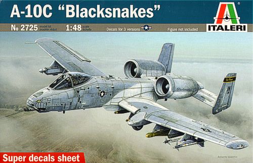 Fairchild A-10C Thunderbolt II Blacksnakes
