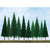 JTT Scenic Pine, 1in to 2in, Z-Scale, (55 per pack) JTT92001 Main