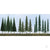 JTT Pine Conifer Spruce, 2.5in to 6in, N to HO-Scale, (45 per pack) JTT92117 1