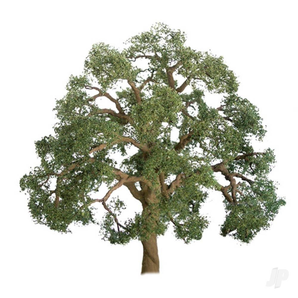 JTT Live Oak, 1in, (6 per pack) JTT94347