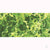 JTT Fine Foliage Clusters, Light Green, 150 Sq. in JTT95064 1