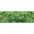 JTT Fine Foliage Clusters, Light Green, 150 Sq. in JTT95064 Main