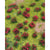 JTT Flowering Meadow Red, 5x7in, Sheet JTT95604 Main