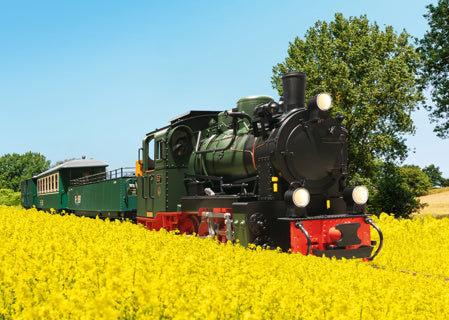LGB RüBB Steam Loco 53 Mh Ep. VI L28006
