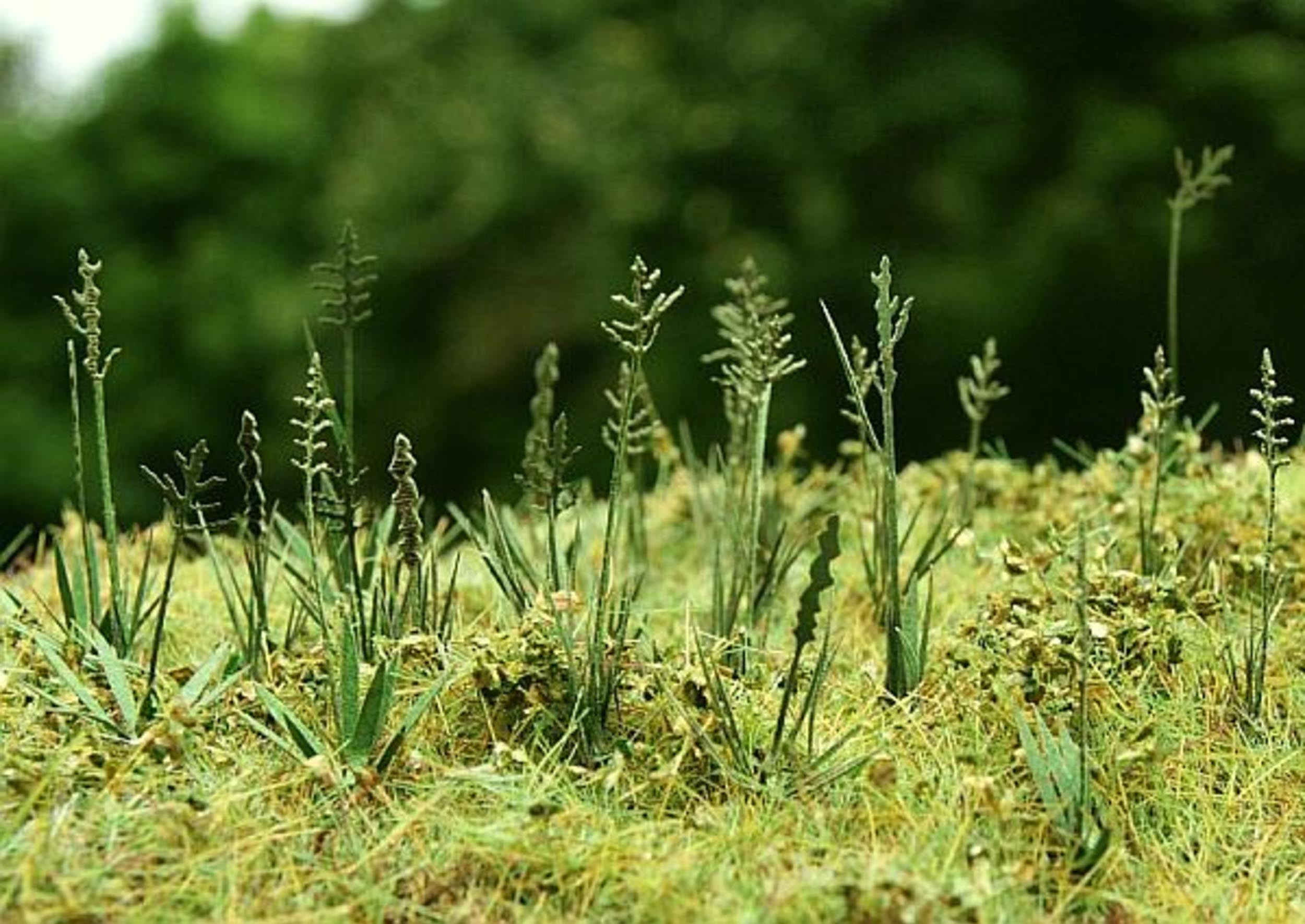 Model Scene 1:32 / 1:35 Fescue Low Vegetation VG3-015