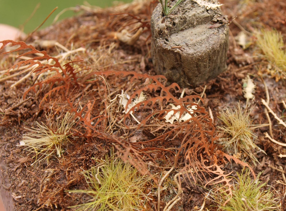 Model Scene 1:45 / 1:48 Dry Fern Low Vegetation VG4-017