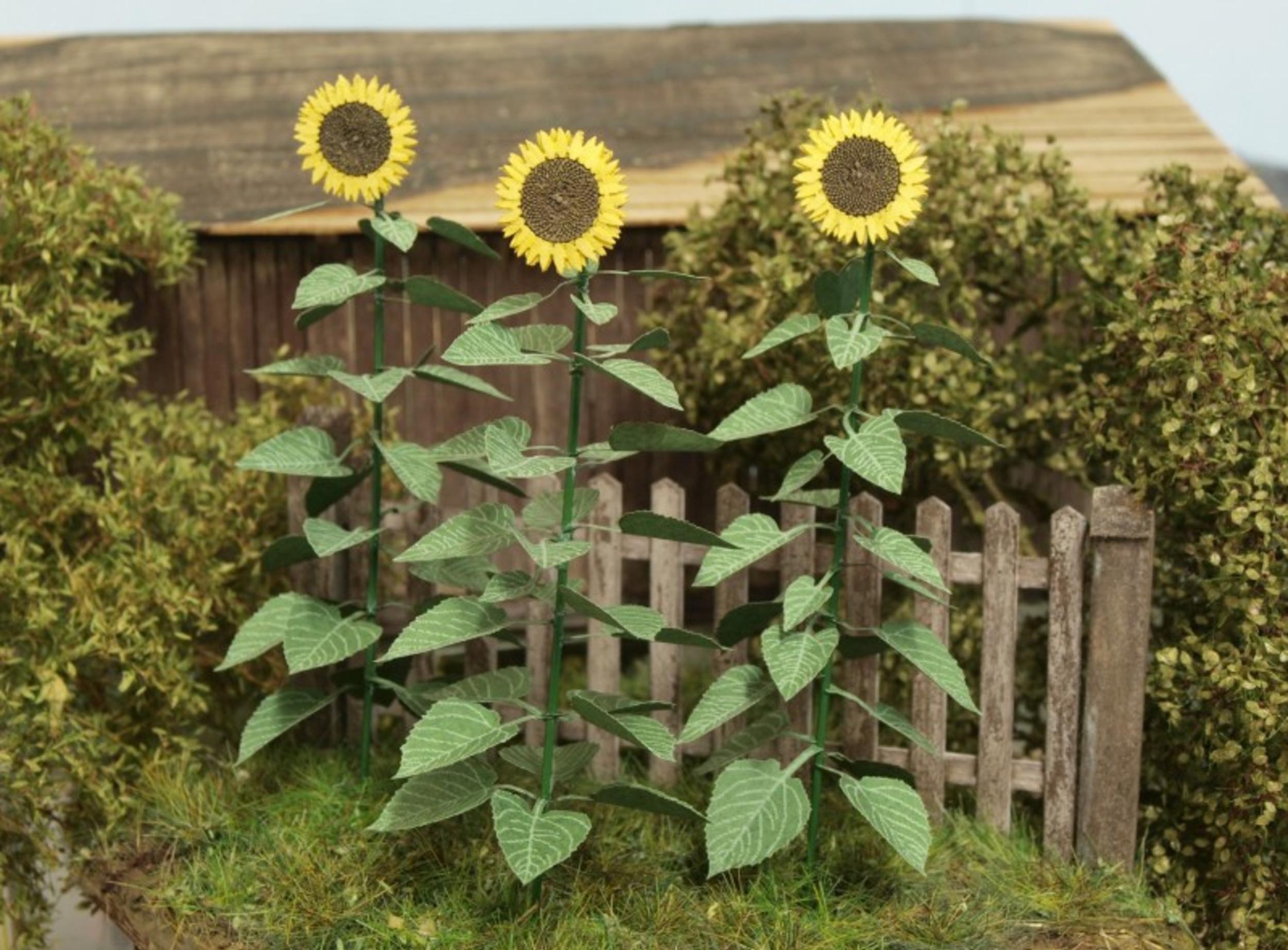 Model Scene 1:45 / 1:48 Sunflowers Low Vegetation VG4-024