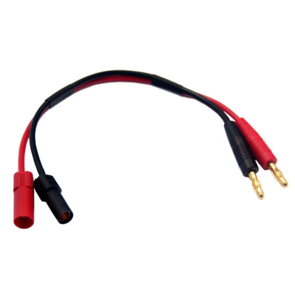 XT150 Charge Lead
