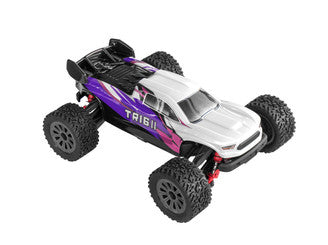 TR16II Brushed RC Truggy (Purple, Pink & White) 1:16