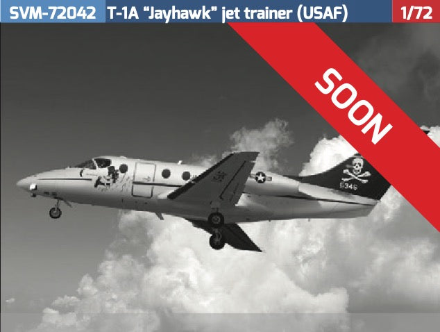 Raytheon T-1A Jayhawk USAF