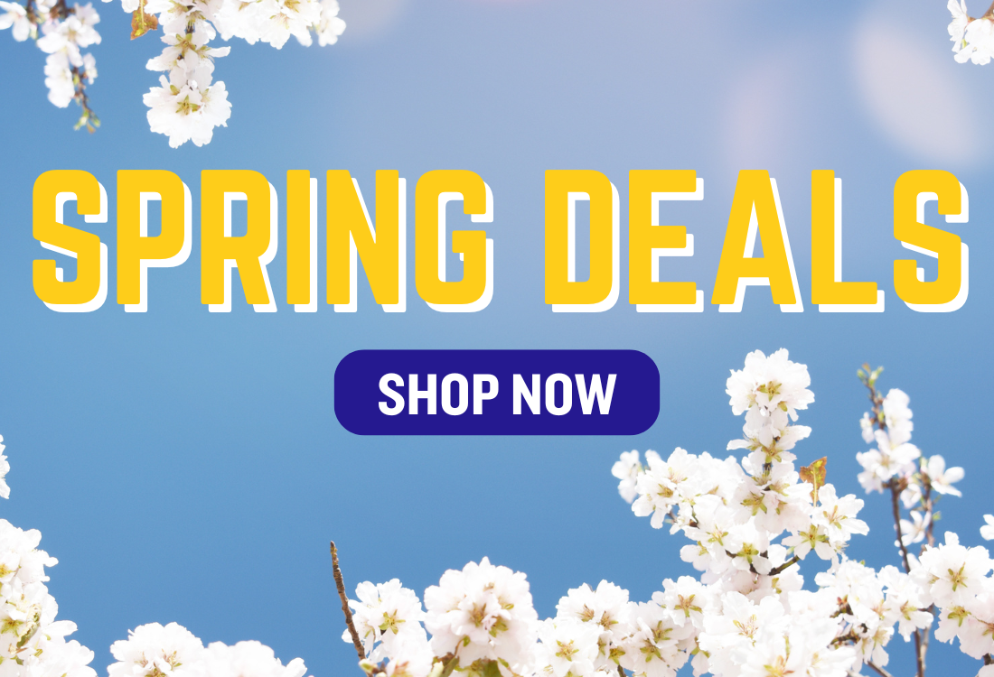 Access Models: Your Local Model Shop in Newark-on-Trent