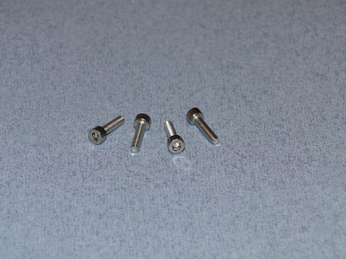 SS Socket Hd Screw M3 12mm Pk4