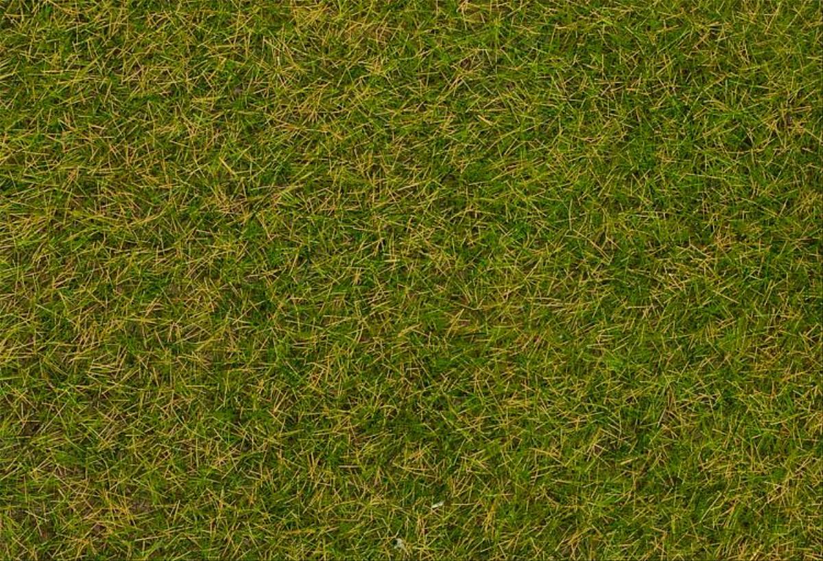 Faller Early Summer Lawn Wild Grass Fibres 4mm (30g) FA170206