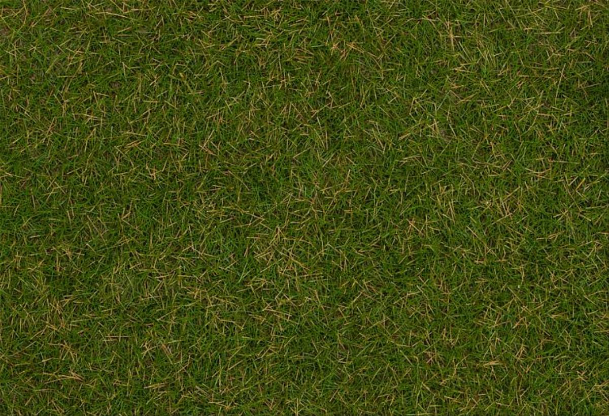 Faller Summer Lawn Wild Grass Fibres 4mm (1kg) FA170257