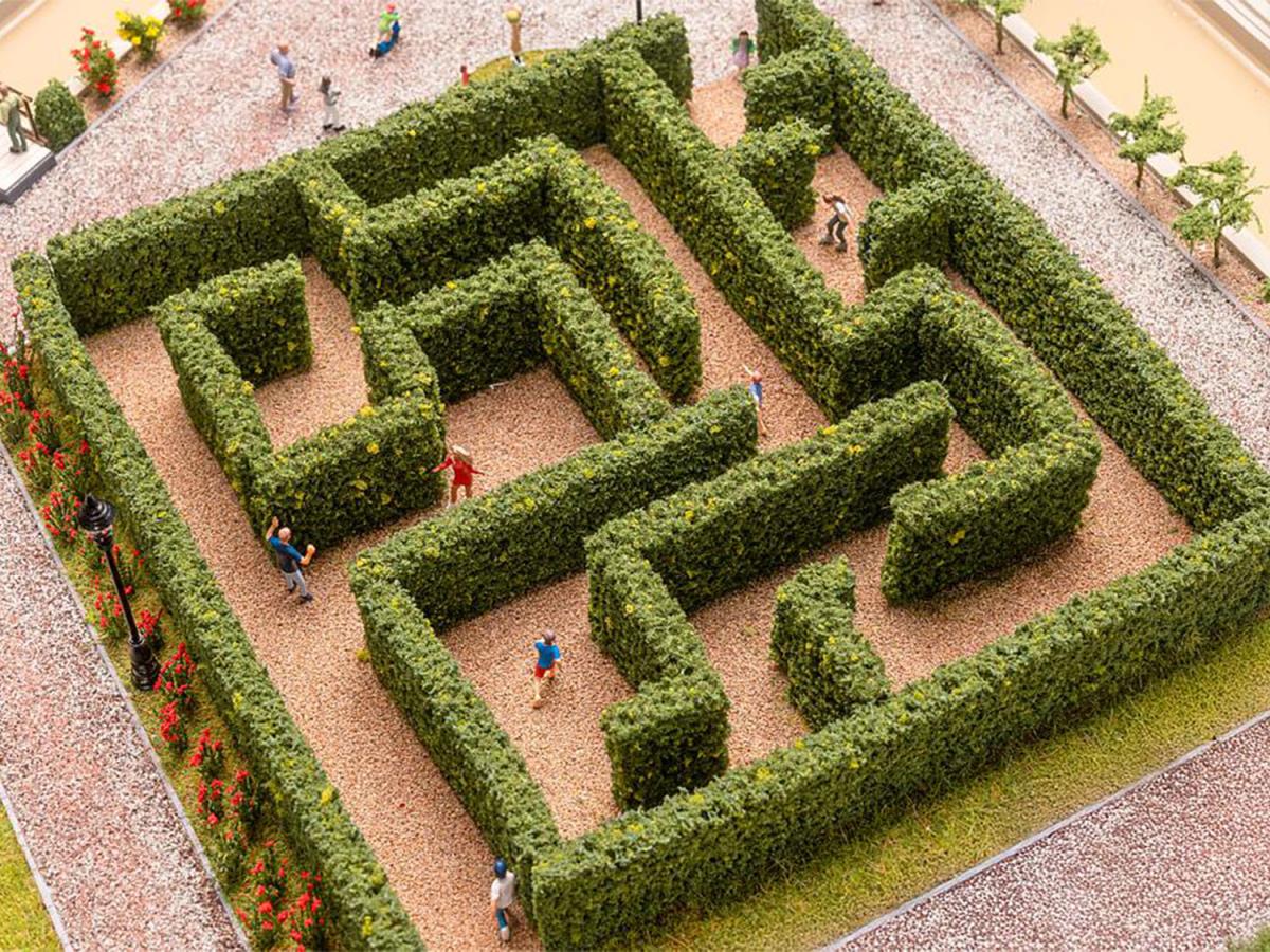 Hedge Maze Kit