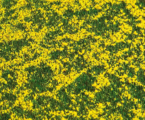 Faller Rape Field Landscape Segment 210x148x6mm FA180463