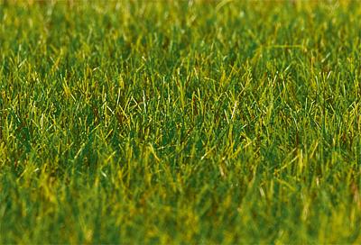 Faller Dark Green Grass 6mm Premium Ground Cover Fibres (30g) FA180485