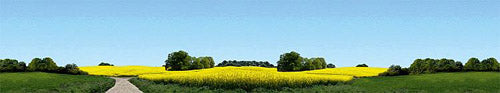 Faller Ostholstein Model Background 2700x500mm FA180504