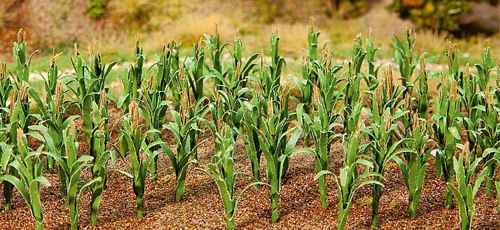 Faller Maize Plants 25mm (36) FA181250