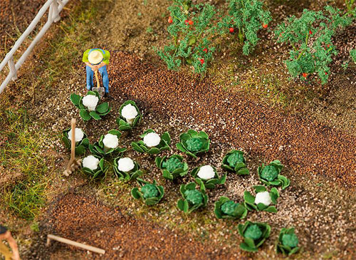 Faller Cabbages (10) & Cauliflowers (10) FA181257