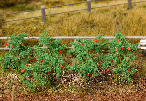 Faller Tomato Plants (18) FA181259