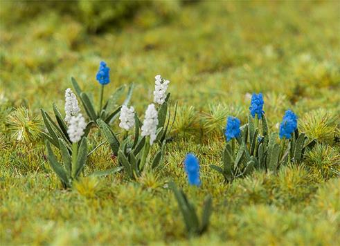 Faller Hyacinths (32) FA181265