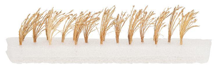 Faller Reeds 19mm (22) FA181287