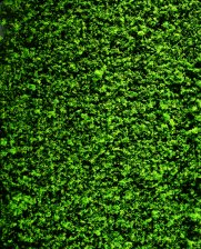 Faller Mid Green Foliage Material 250x120mm FA181392