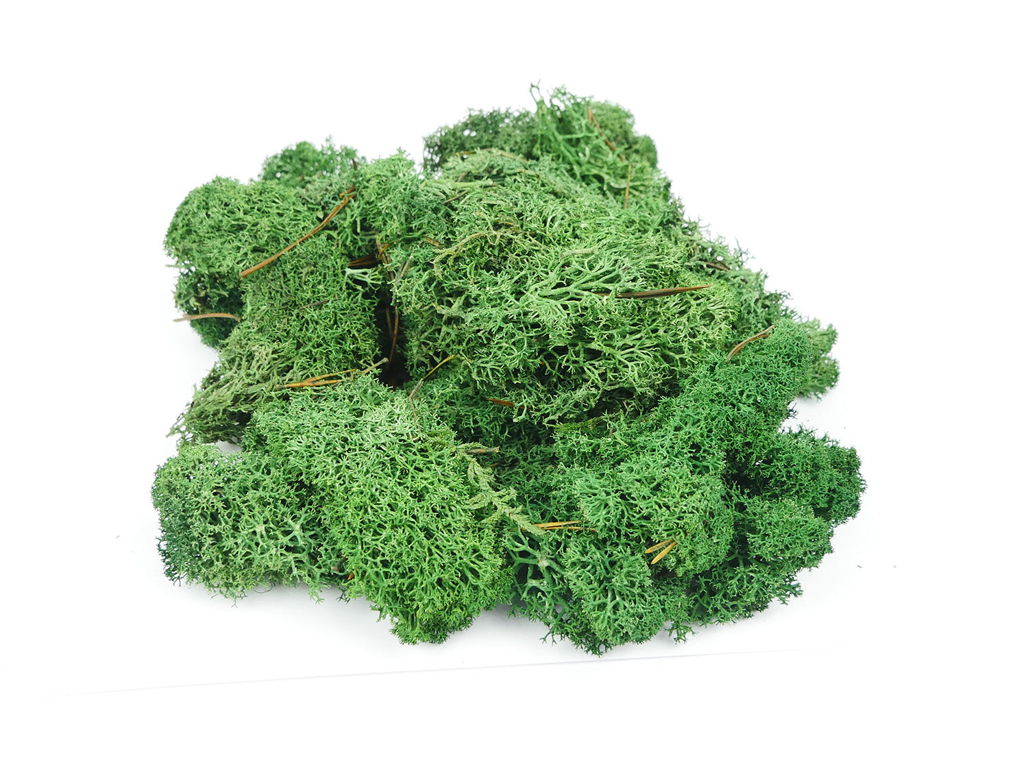 Gaugemaster Scenics Dark Green Lichen 80g (GM165) GM1602